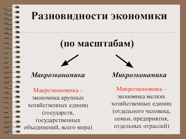 Разновидности экономики (по масштабам) Макроэкономика Микроэкономика Макроэкономика – экономика крупных хозяйственных единиц