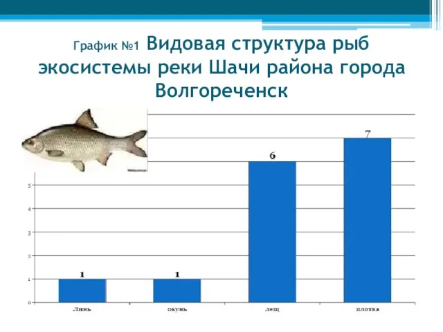 График №1 Видовая структура рыб экосистемы реки Шачи района города Волгореченск