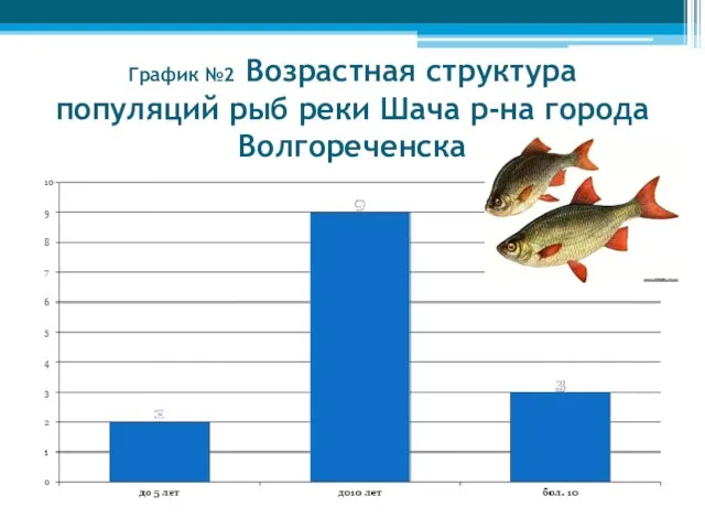 График №2 Возрастная структура популяций рыб реки Шача р-на города Волгореченска