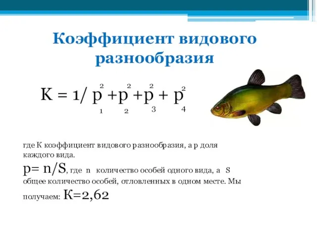 где К коэффициент видового разнообразия, а р доля каждого вида. р= n/S,