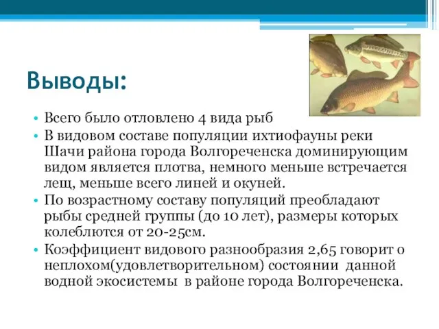 Выводы: Всего было отловлено 4 вида рыб В видовом составе популяции ихтиофауны