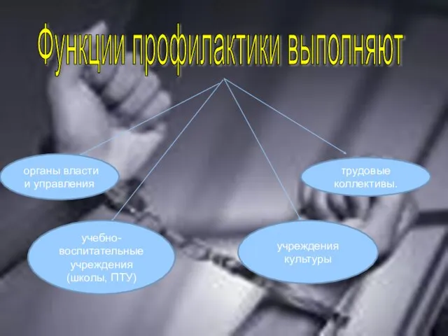 органы власти и управления трудовые коллективы. учебно-воспитательные учреждения (школы, ПТУ) учреждения культуры Функции профилактики выполняют