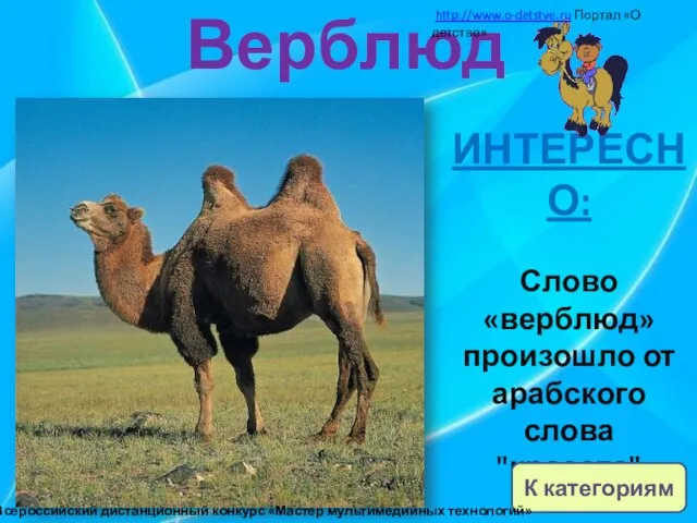 Верблюд ИНТЕРЕСНО: Слово «верблюд» произошло от арабского слова "красота" К категориям http://www.o-detstve.ru