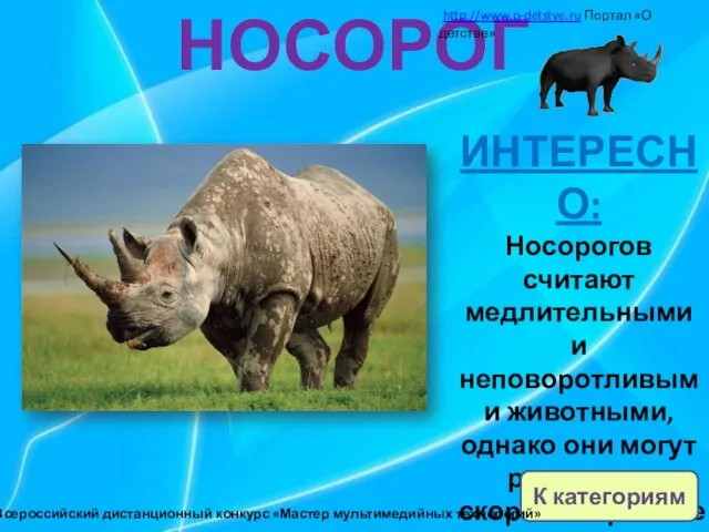 НОСОРОГ ИНТЕРЕСНО: Носорогов считают медлительными и неповоротливыми животными, однако они могут развивать