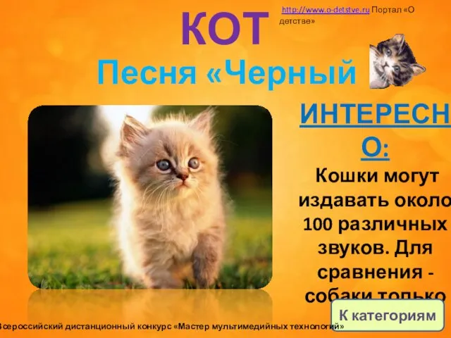 КОТ ИНТЕРЕСНО: Кошки могут издавать около 100 различных звуков. Для сравнения -