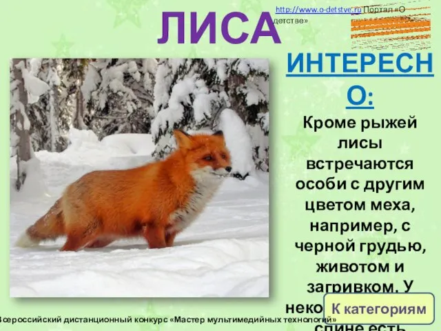 ЛИСА ИНТЕРЕСНО: Кроме рыжей лисы встречаются особи с другим цветом меха, например,