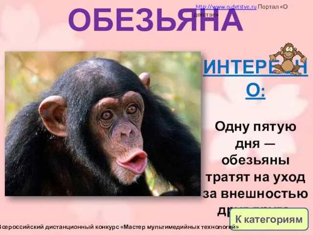 ОБЕЗЬЯНА ИНТЕРЕСНО: Одну пятую дня — обезьяны тратят на уход за внешностью