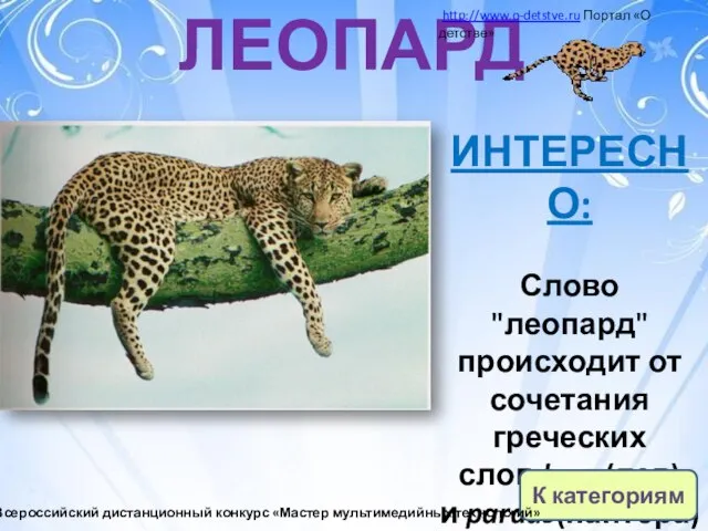 ЛЕОПАРД ИНТЕРЕСНО: Слово "леопард" происходит от сочетания греческих слов leon (лев) и