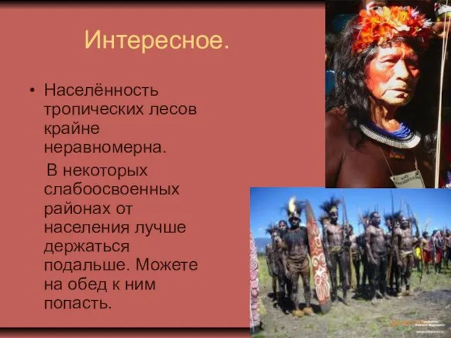 Интересное. Населённость тропических лесов крайне неравномерна. В некоторых слабоосвоенных районах от населения