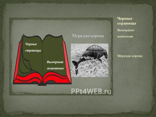 Вымершие животные Морская корова Черные страницы