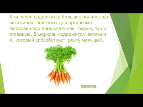 В моркови содержится большое количество витаминов, полезных для организма. Морковь надо принимать