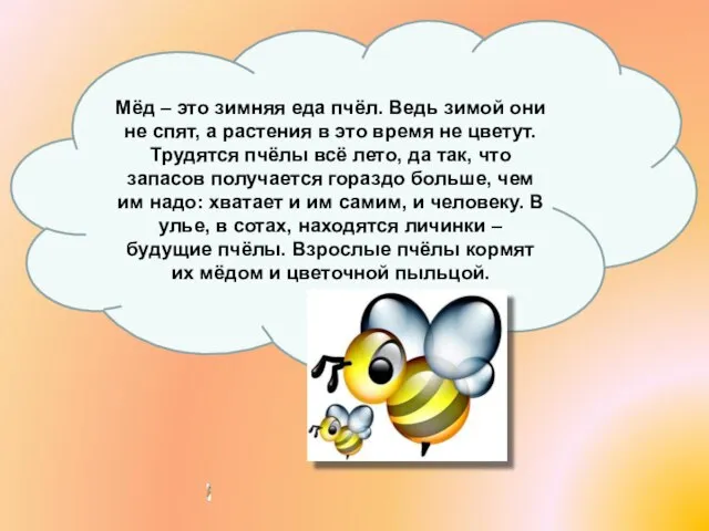 Мёд – это зимняя еда пчёл. Ведь зимой они не спят, а