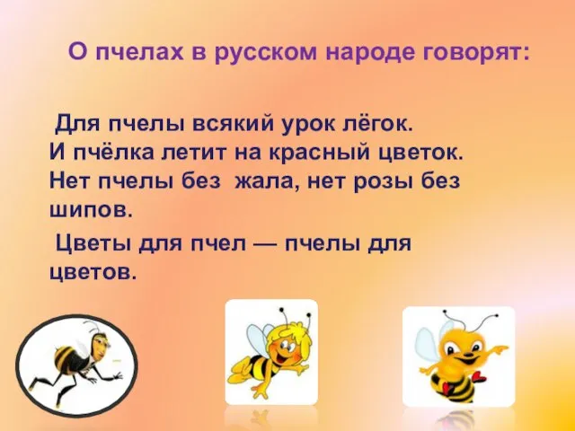 О пчелах в русском народе говорят: Для пчелы всякий урок лёгок. И