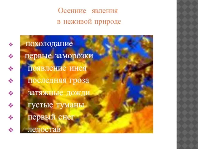 Осенние явления в неживой природе: похолодание первые заморозки появление инея последняя гроза