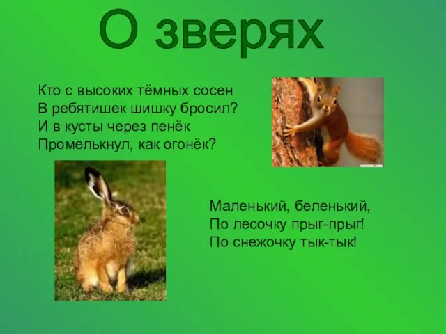 О зверях Кто с высоких тёмных сосен В ребятишек шишку бросил? И