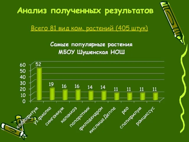 Анализ полученных результатов Всего 81 вид ком. растений (405 штук)