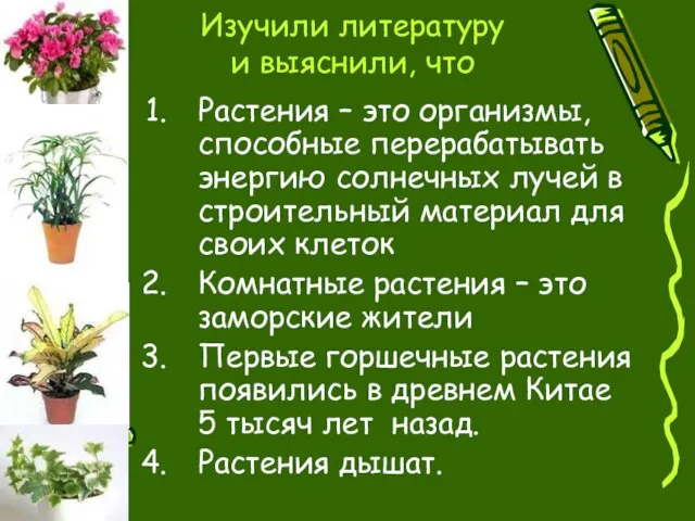 Изучили литературу и выяснили, что Растения – это организмы, способные перерабатывать энергию