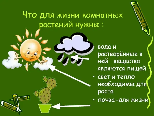 Что для жизни комнатных растений нужны : вода и растворённые в ней