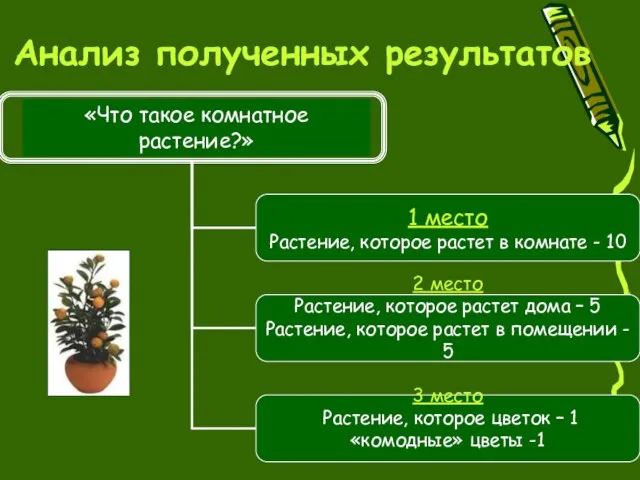 Анализ полученных результатов «Что такое комнатное растение?»