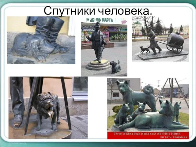 Спутники человека.