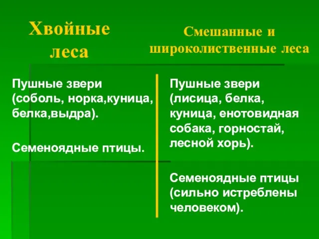 Хвойные леса Смешанные и широколиственные леса