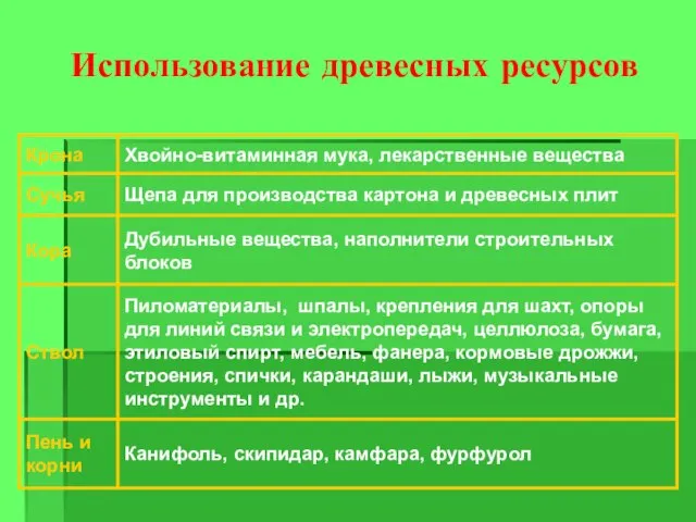 Использование древесных ресурсов