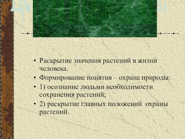 Раскрытие значения растений в жизни человека. Формирование понятия – охрана природы: 1)