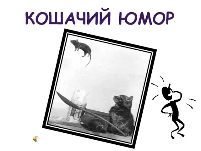 КОШАЧИЙ ЮМОР