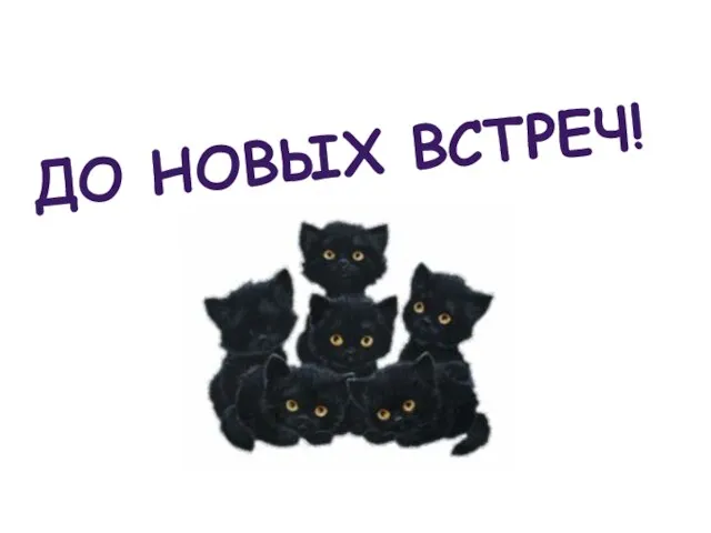 ДО НОВЫХ ВСТРЕЧ!