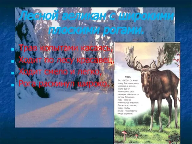 Лесной великан с широкими плоскими рогами. Трав копытами касаясь, Ходит по лесу