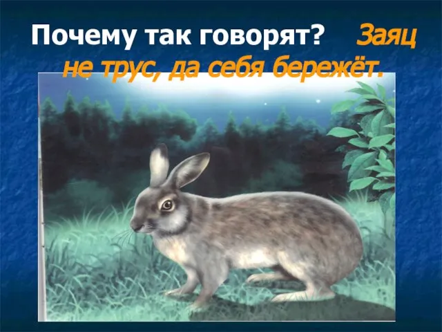 Почему так говорят? Заяц не трус, да себя бережёт.