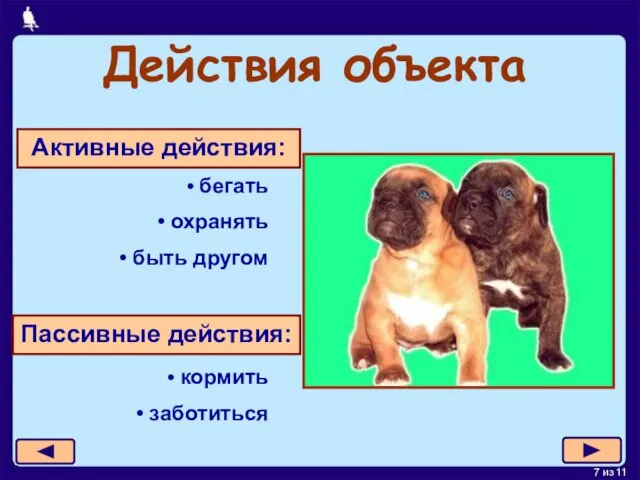 Действия объекта Активные действия: бегать охранять быть другом Пассивные действия: кормить заботиться