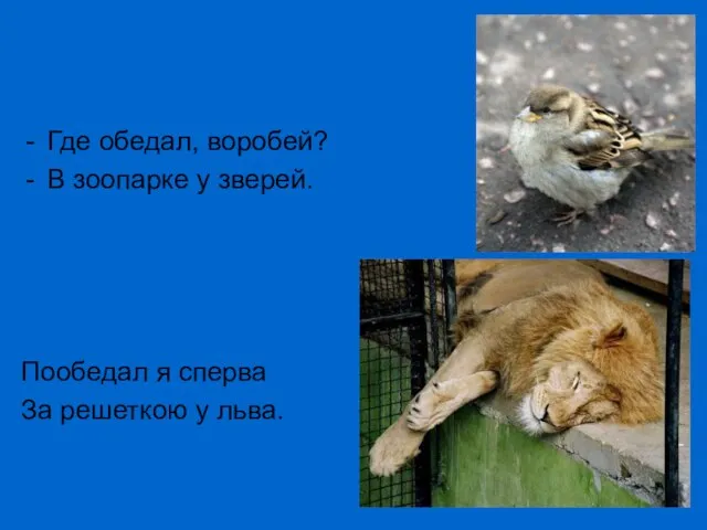 Где обедал, воробей? В зоопарке у зверей. Пообедал я сперва За решеткою у льва.