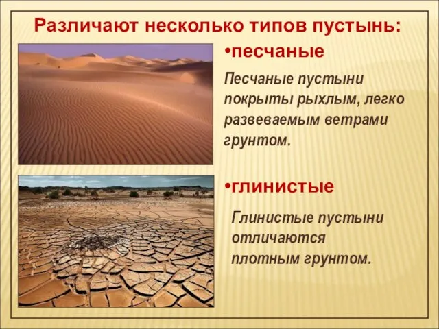 Различают несколько типов пустынь: песчаные Песчаные пустыни покрыты рыхлым, легко развеваемым ветрами