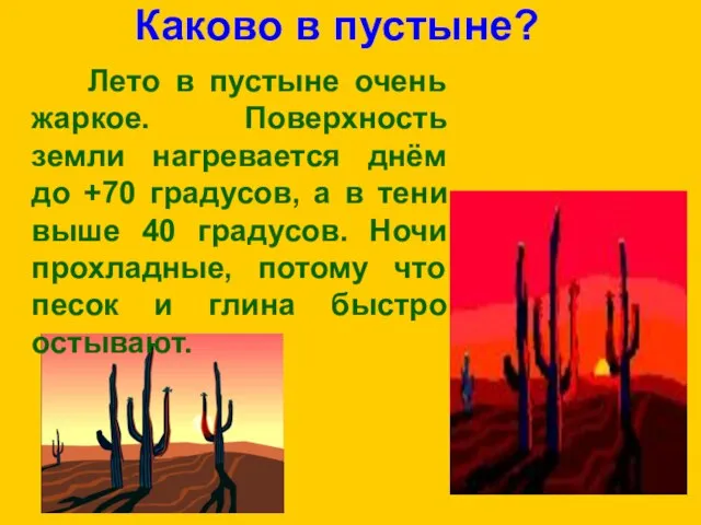 Каково в пустыне? Лето в пустыне очень жаркое. Поверхность земли нагревается днём