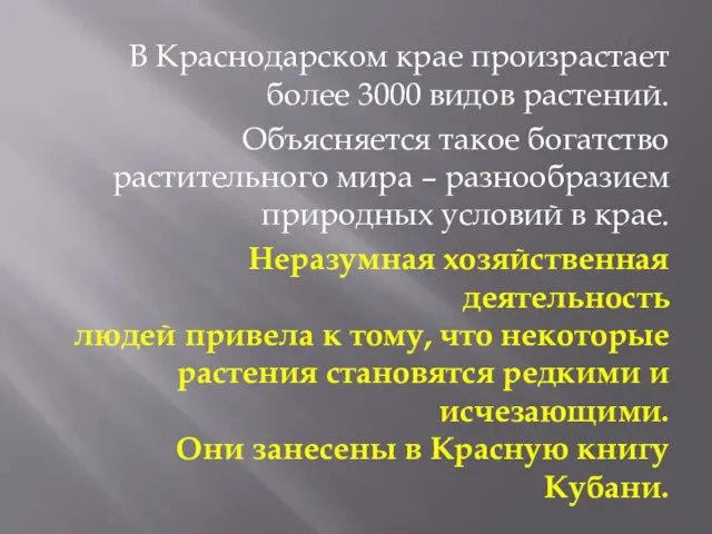 В Краснодарском крае произрастает более 3000 видов растений. Объясняется такое богатство растительного