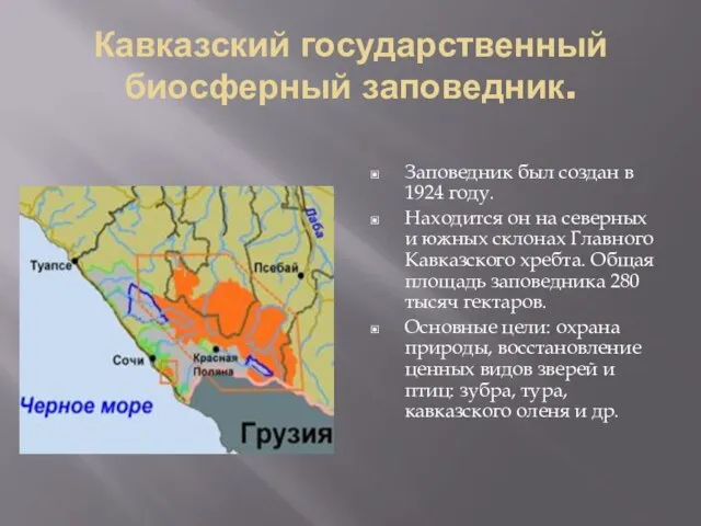 Кавказский государственный биосферный заповедник. Заповедник был создан в 1924 году. Находится он