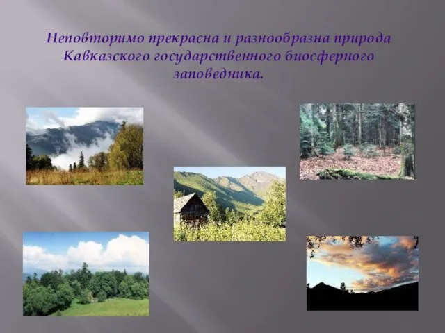 Неповторимо прекрасна и разнообразна природа Кавказского государственного биосферного заповедника.