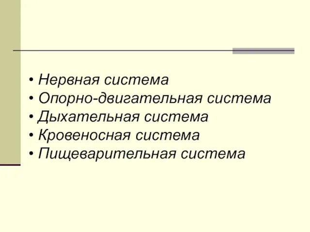 Нервная система Опорно-двигательная система Дыхательная система Кровеносная система Пищеварительная система