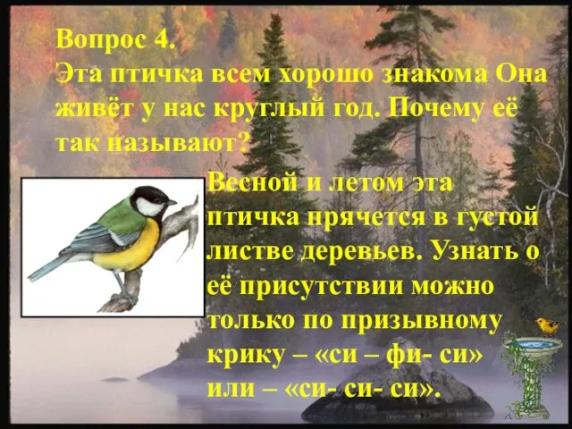 Вопрос 4. Эта птичка всем хорошо знакома Она живёт у нас круглый