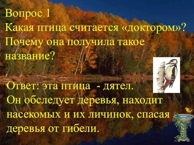 Вопрос 1 Какая птица считается «доктором»? Почему она получила такое название? Ответ: