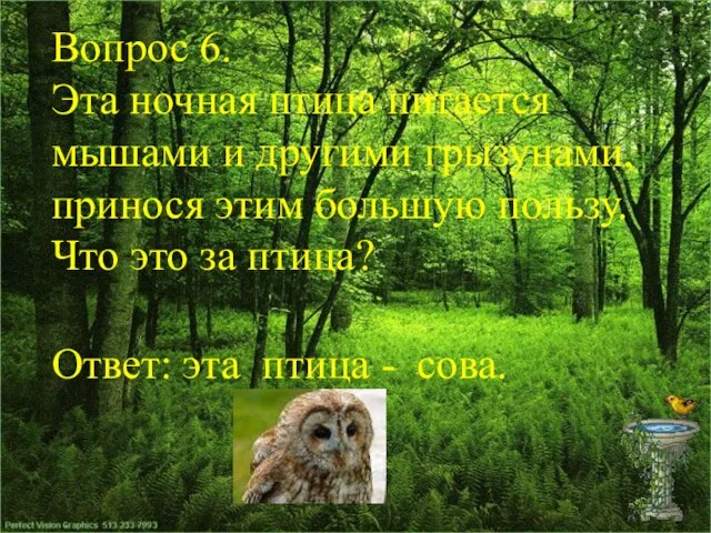 Вопрос 6. Эта ночная птица питается мышами и другими грызунами, принося этим