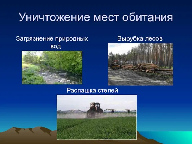 Уничтожение мест обитания Загрязнение природных вод Вырубка лесов Распашка степей