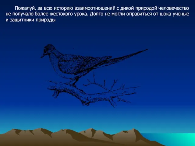 Пожалуй, за всю историю взаимоотношений с дикой природой человечество не получало более