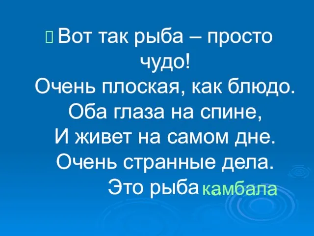 Вот так рыба – просто чудо! Очень плоская, как блюдо. Оба глаза