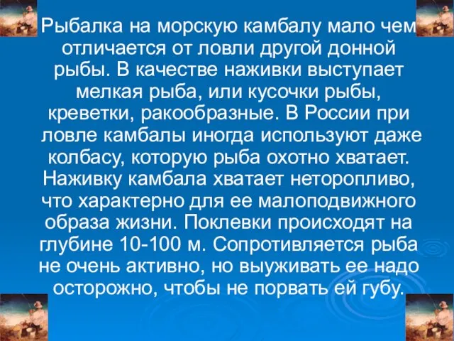 Рыбалка на морскую камбалу мало чем отличается от ловли другой донной рыбы.