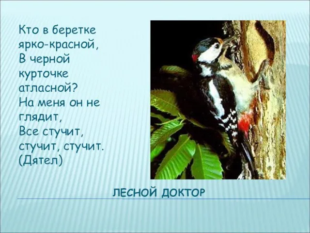 ЛЕСНОЙ ДОКТОР Кто в беретке ярко-красной, В черной курточке атласной? На меня