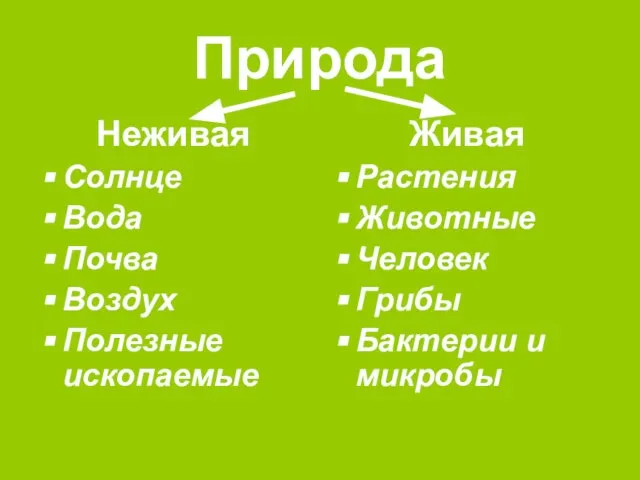 Природа Неживая Солнце Вода Почва Воздух Полезные ископаемые Живая Растения Животные Человек Грибы Бактерии и микробы