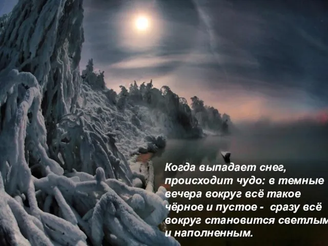 Когда выпадает снег, происходит чудо: в темные вечера вокруг всё такое чёрное