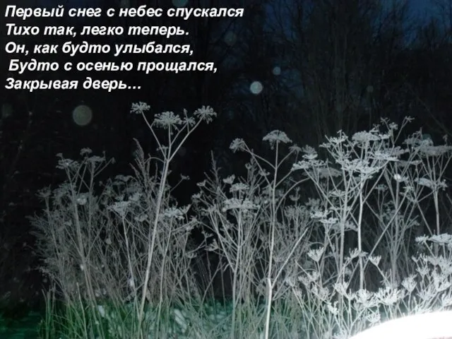 Первый снег с небес спускался Тихо так, легко теперь. Он, как будто